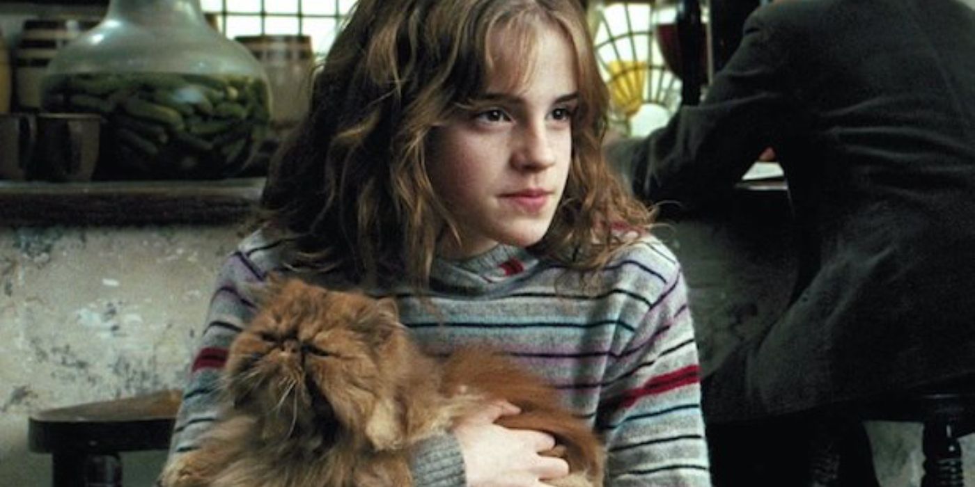 Harry Potter Hermione with Crookshanks