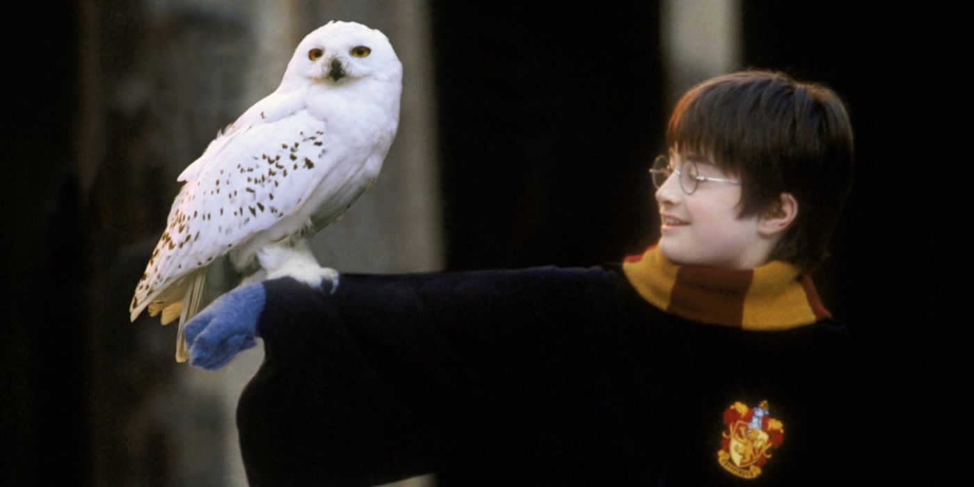 Harry Potter 10 Best Soundtracks From The Series Ranked
