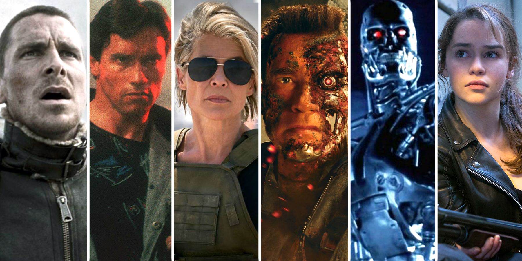 Franchise: The Terminator