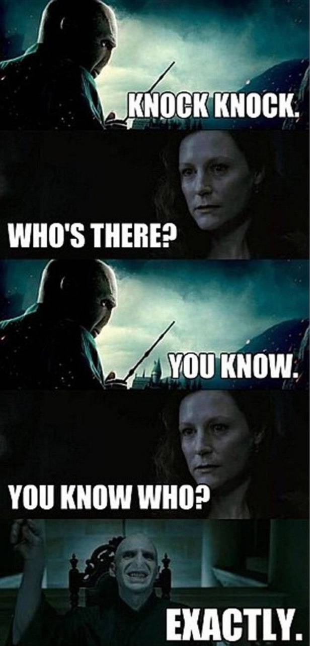 Harry Potter 10 Hilarious Voldemort Memes Only True Fans Will Understand