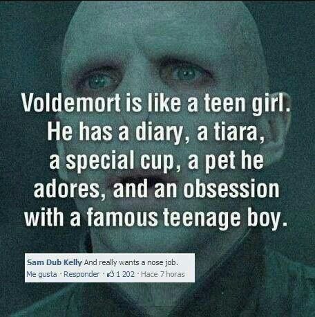 Harry Potter Hilarious Voldemort Memes Only True Fans Will Understand