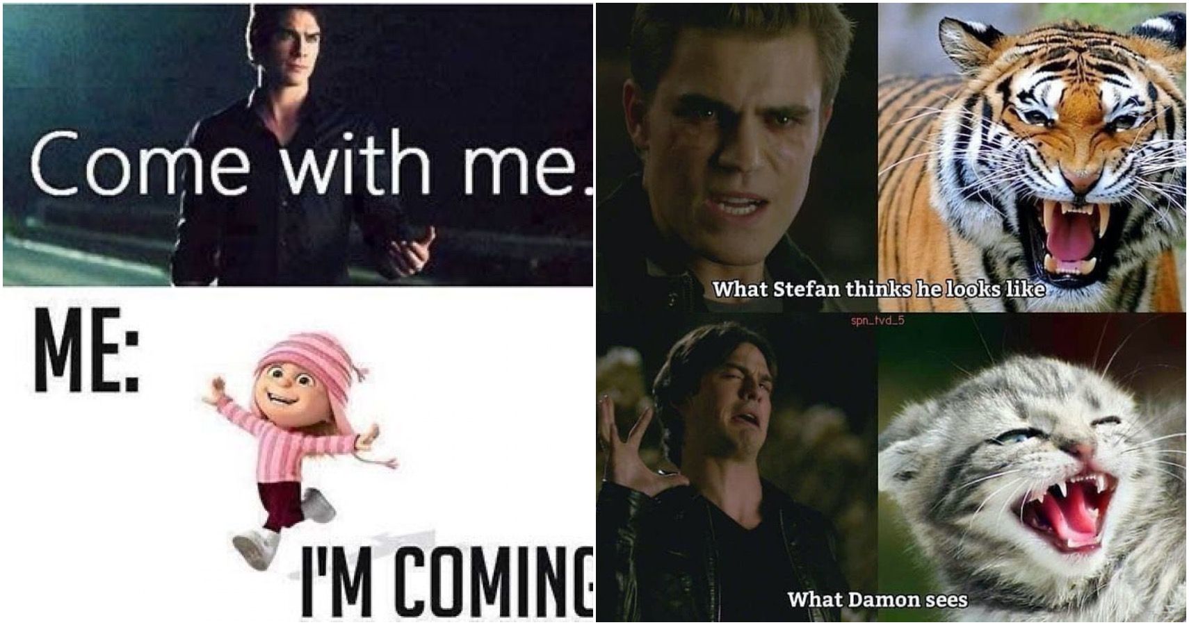 The Vampire Diaries: 10 Hilarious Damon Memes That Only True Fans Will