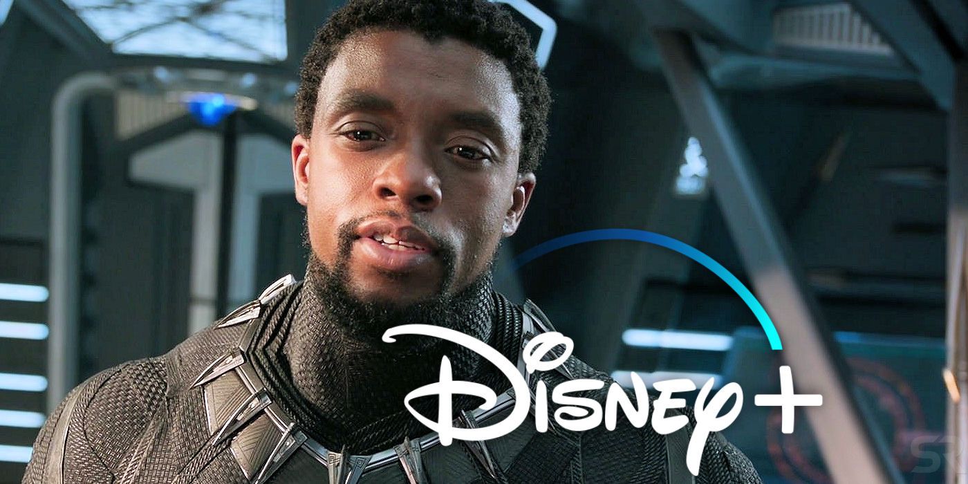 When Black Panther Releases On Disney+ | Screen Rant - in360news
