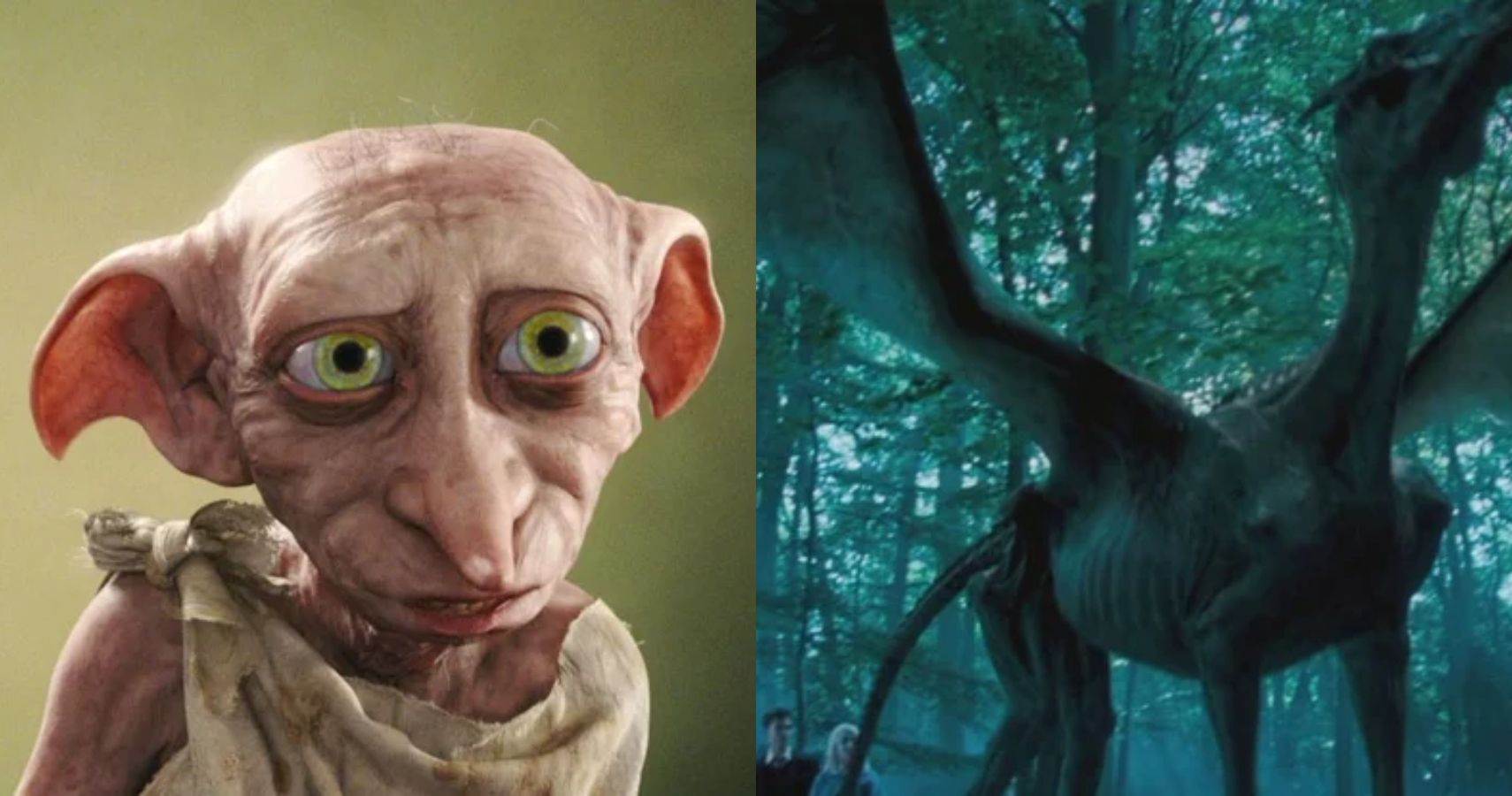 Harry Potter: 5 Creatures We'd Want As Pets (& 5 We Definitely Would Not)
