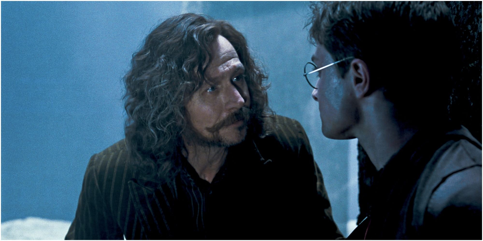Harry Potter 5 Worst Decisions Sirius Black Made (& The 5 Best)