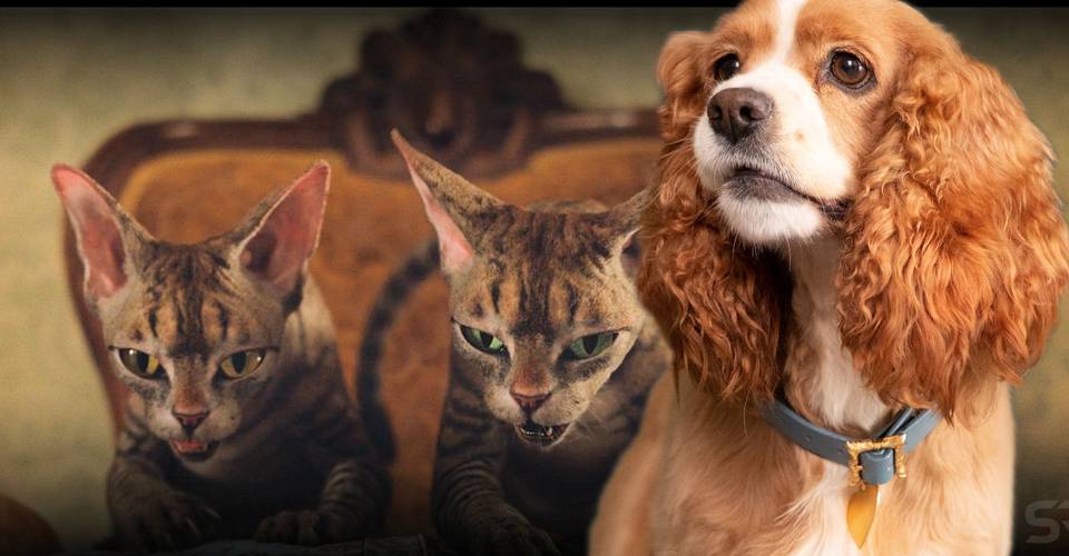 Lady The Tramp 2019 S Siamese Cat Song Scene Is Different