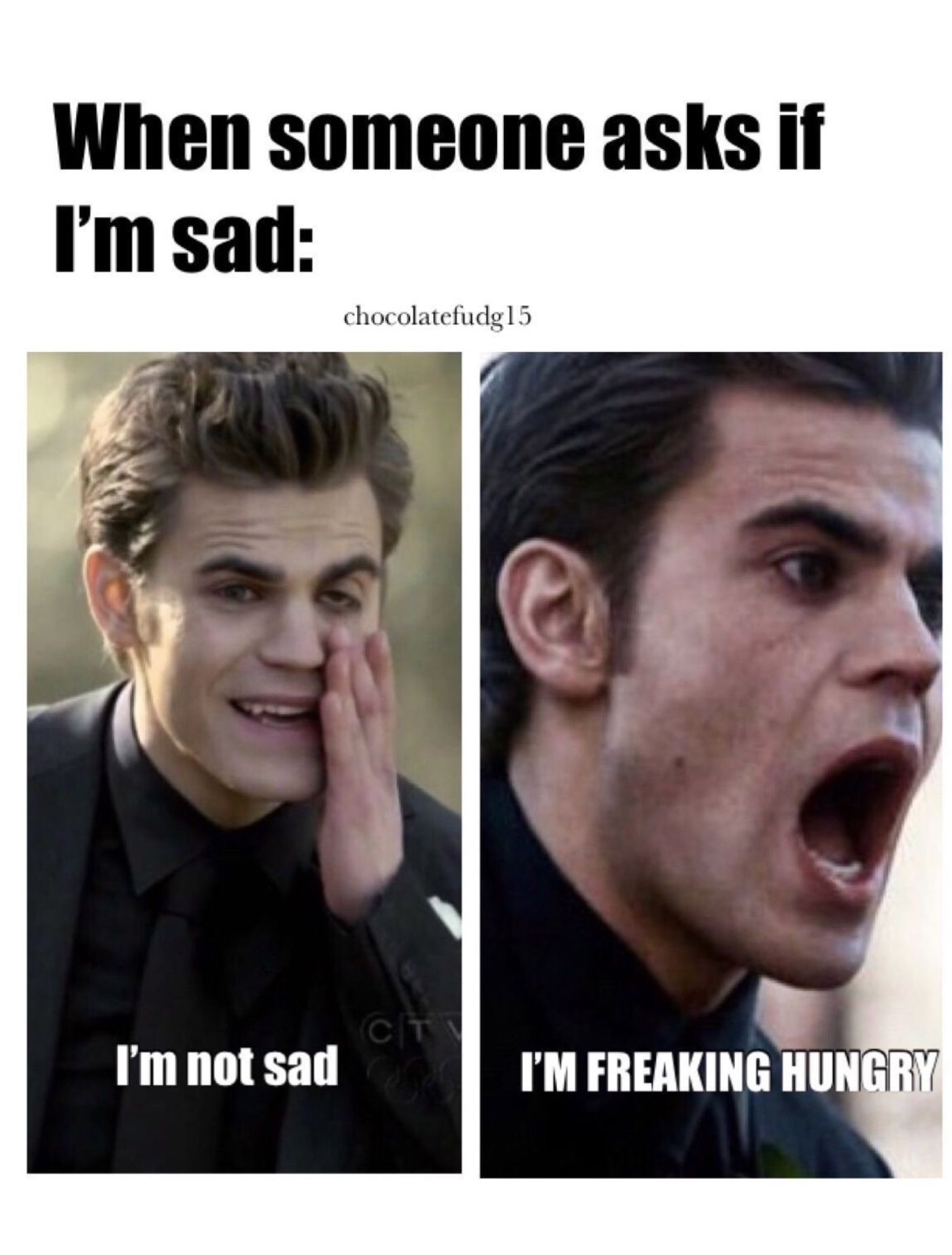 The Vampire Diaries 10 Hilarious Stefan Memes That Only True Fans Will  Understand 