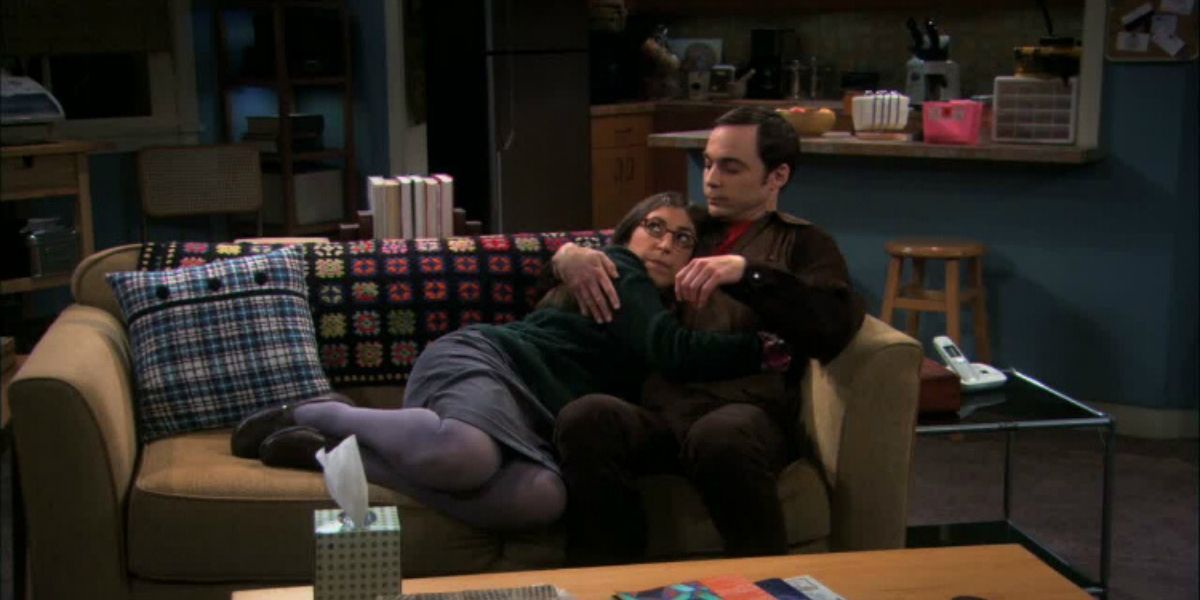 The Big Bang Theory 10 Reasons Why Leonard & Amy Arent Real Friends