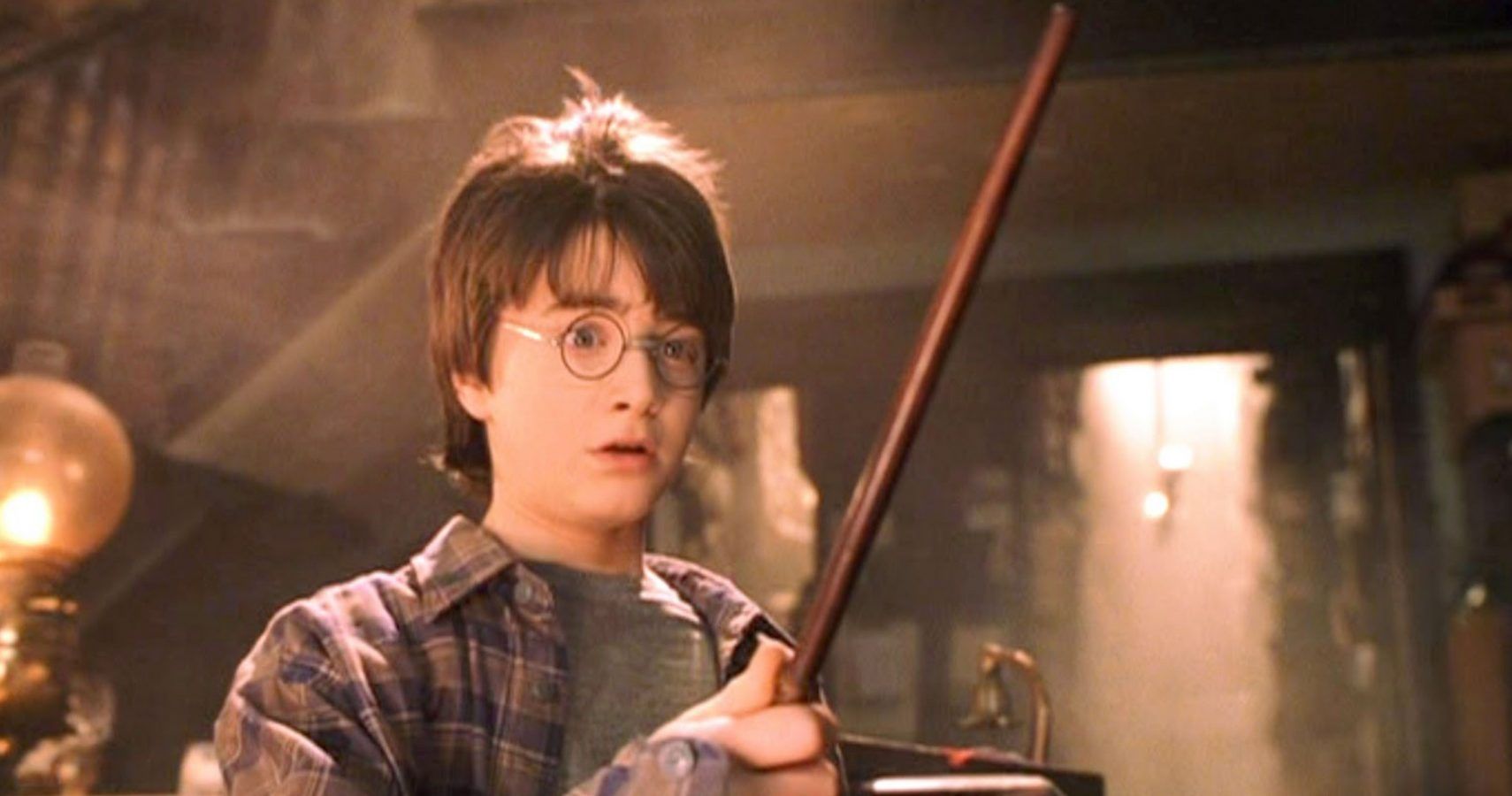 harry-potter-5-things-you-didn-t-know-about-wand-woods-5-you-didn-t