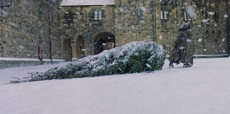 5 Scenes That Make Harry Potter The Perfect Christmas Film 6 EJk8lXxWkAEG1tB Cropped.jpg?q=50&fit=crop&w=963&h=481&dpr=1