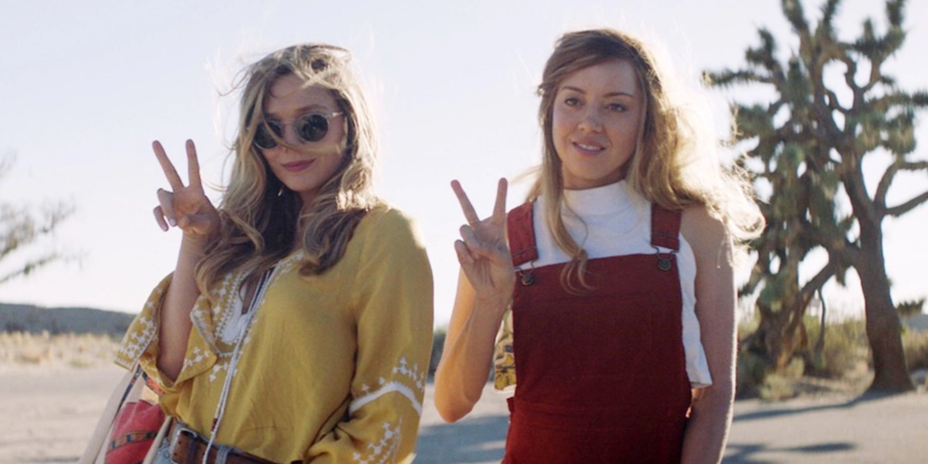 Elizabeth Olsen And Aubrey Plaza In Ingrid Goes West