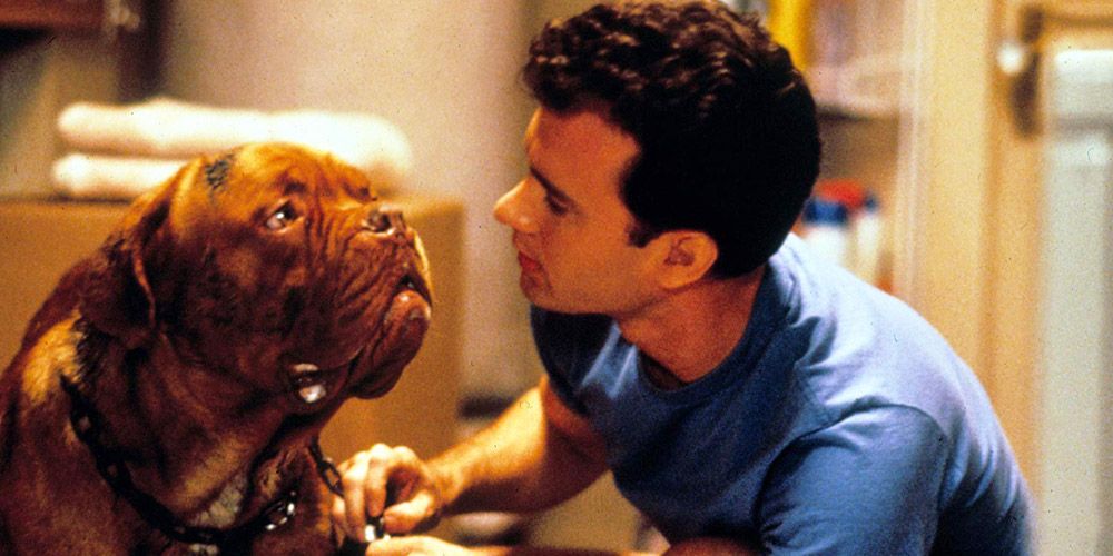 10 Most Iconic Pets In Movie History Ranked