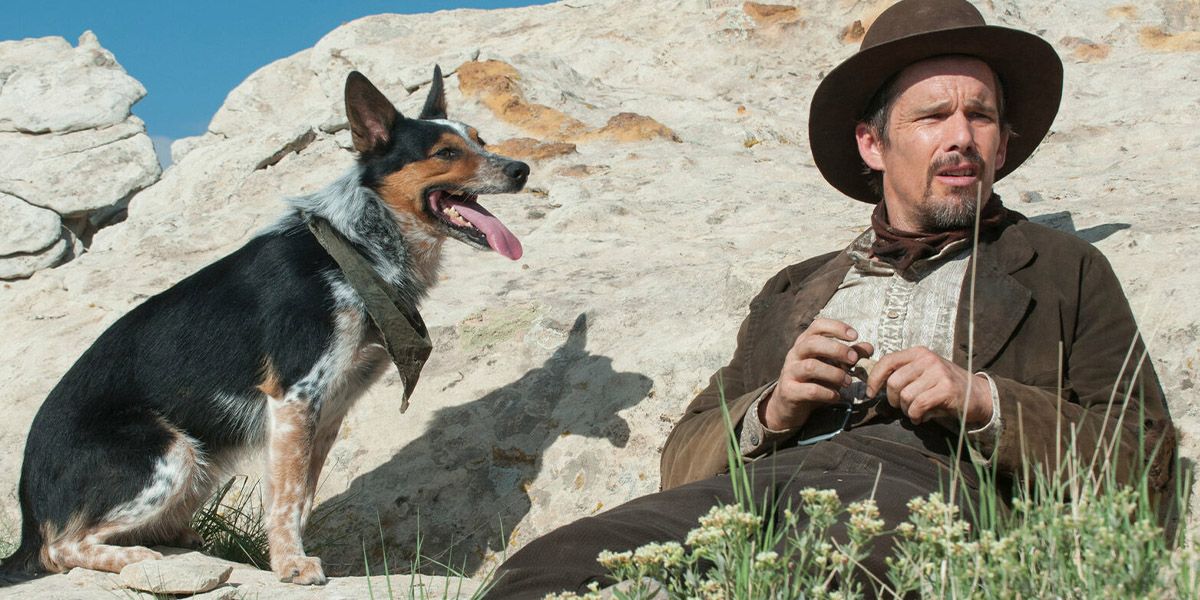 The 10 Best Western Movies Of The Decade (According To Rotten Tomatoes)