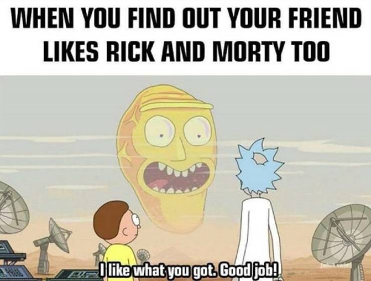 10 Best Rick Morty Memes Only True Fans Will Understand