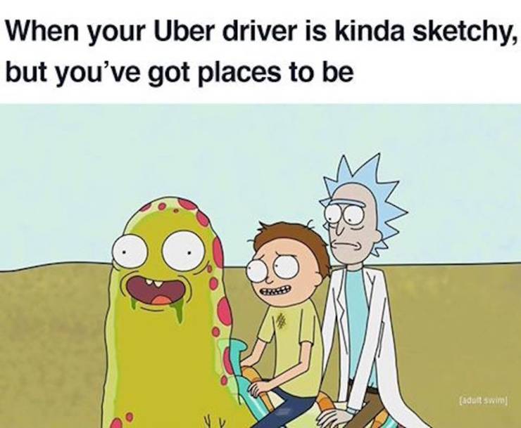 10 Best Rick Morty Memes Only True Fans Will Understand
