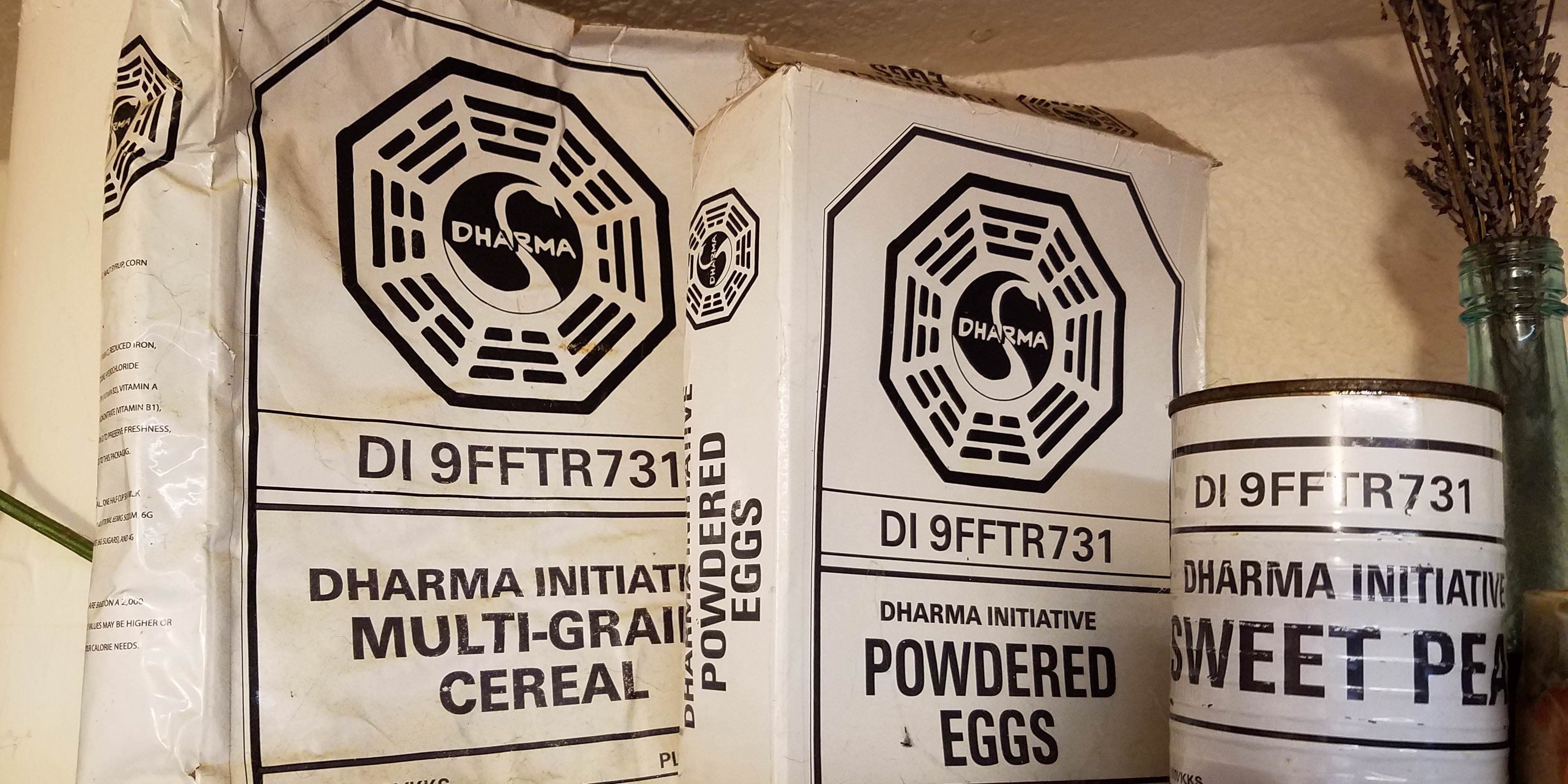 LOST 10 Unanswered Questions About The Dharma Initiative