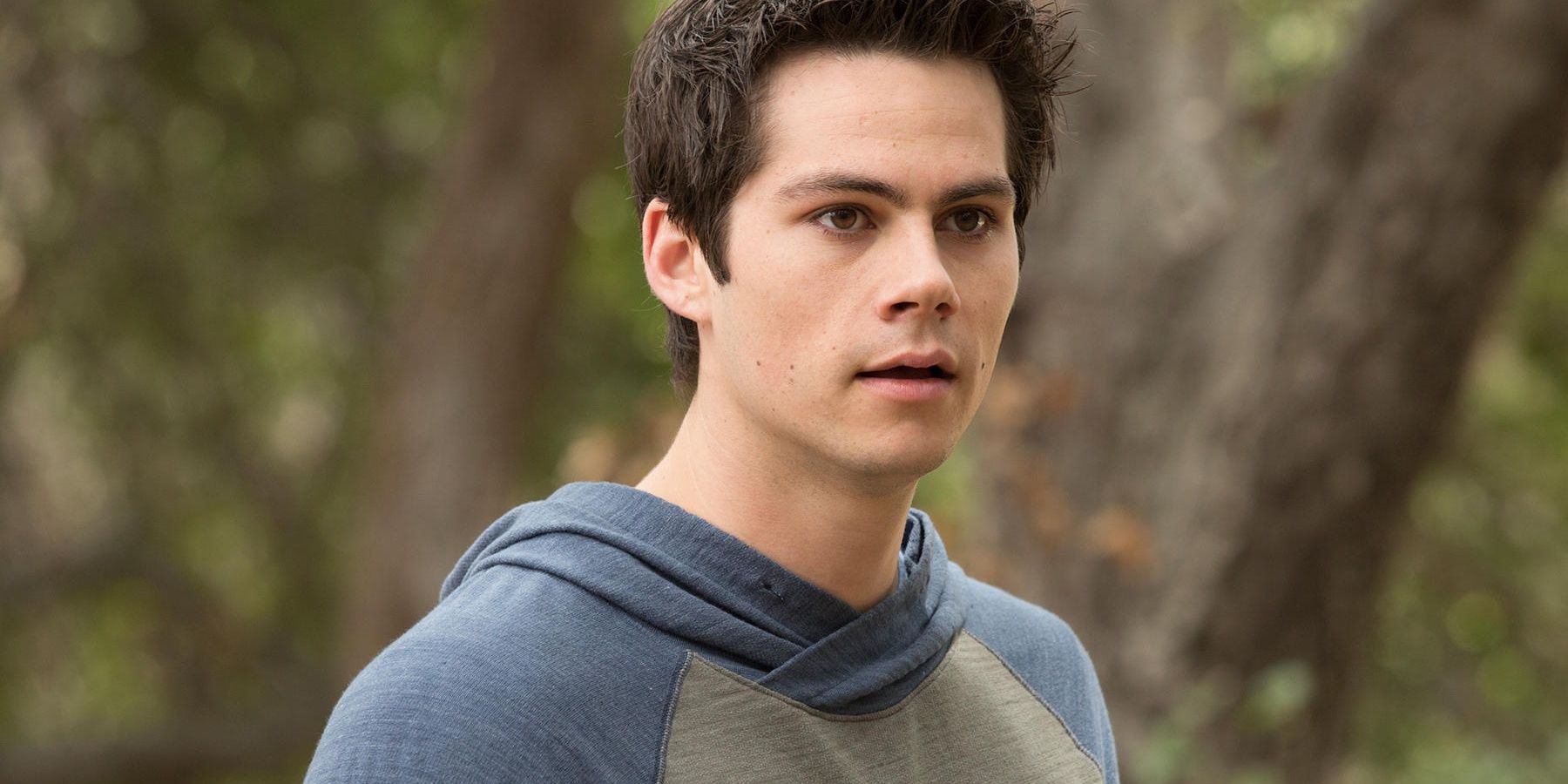 teen wolf stiles