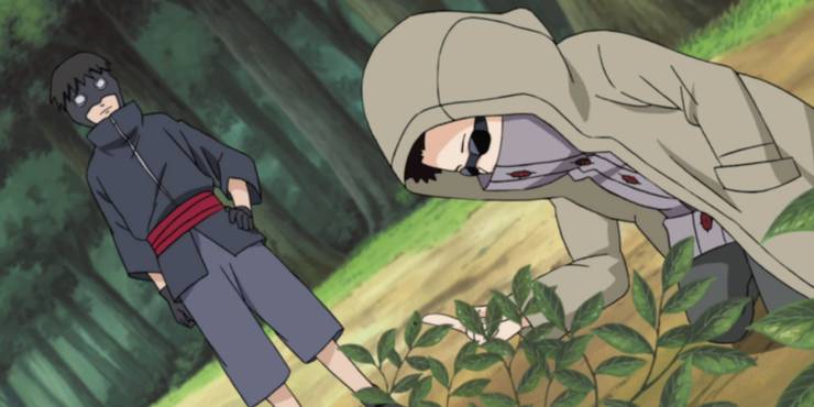 Shino Avec Torune Dans Naruto Shippuden