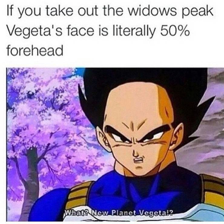 Dragon Ball 10 Hilarious Vegeta Memes That Are Too Funny