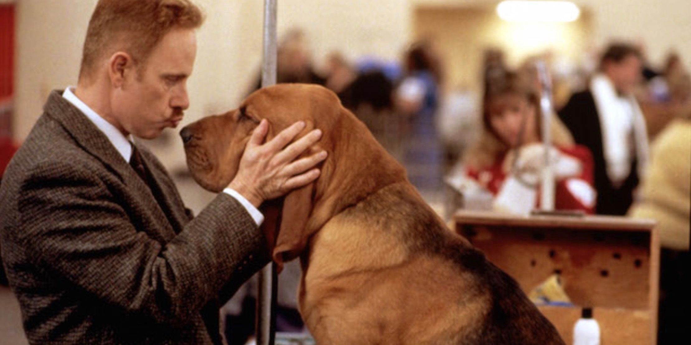 10 Best Movies with an Animal Protagonist