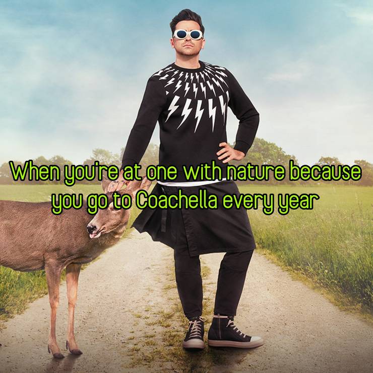 Schitt S Creek 10 David Rose Memes That Are Too Hilarious For Words Schitt S Creek 10 David Rose Memes That Are Too Hilarious For Words