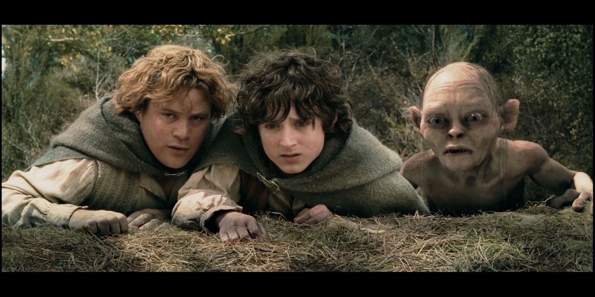 Lord Of The Rings 10 Reasons Sam And Frodo Aren T Real Friends Hot Bollywood