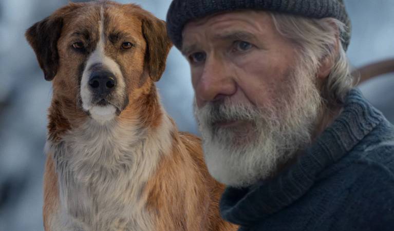 Why Call Of The Wild S Dog Was Cgi Who The Real Buck Is Why Call Of The Wild S Dog Was Cgi Who The Real Buck Is