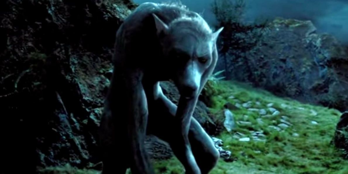 Chiara Lobosca Werewolf in Harry Potter