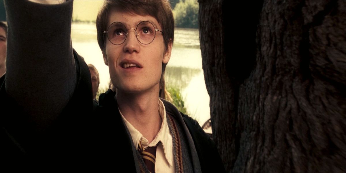 Harry Potter How 10 Characters We Never Met Died