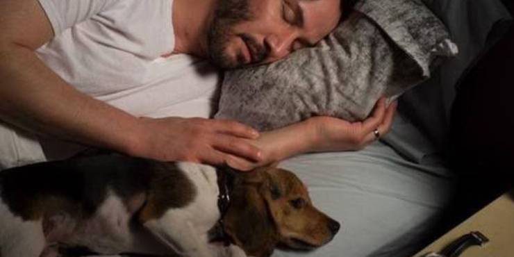 10 Things You Didn T Know About John Wick S Dogs Screenrant