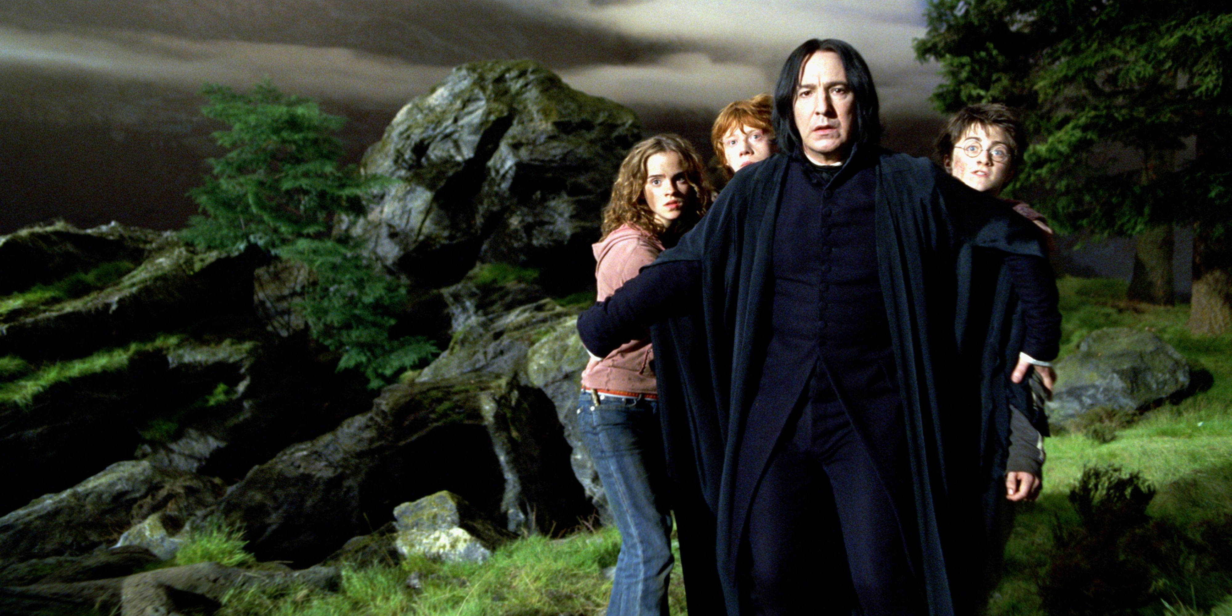 Harry Potter 10 Reasons Why Snape & Dumbledore Arent Real Friends