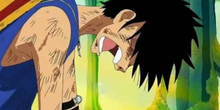 One Piece 5 Reasons Why A Netflix Show Is A Great Idea 5 Why