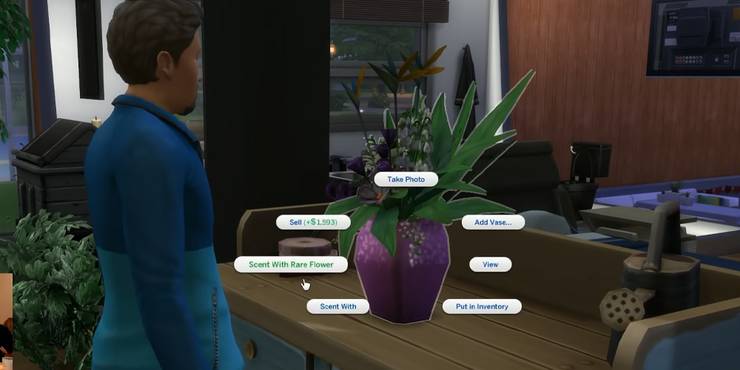 The Sims 4 Every Single Death Ranked By How Easily It Is Triggered