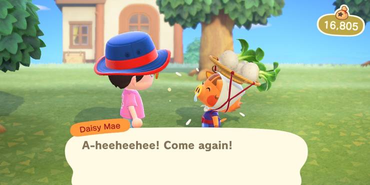 Animal Crossing New Horizons Why Turnips Are So Valuable