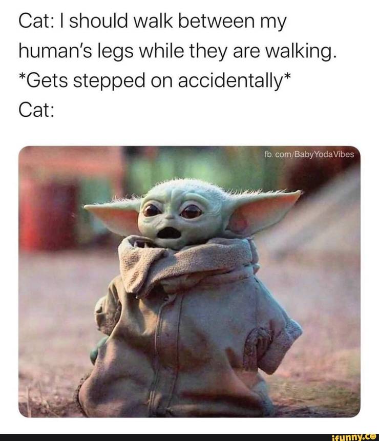 10 Hilarous Baby Yoda Memes About Pets We Can All Relate To 10 Hilarous Baby Yoda Memes About Pets We Can All Relate To