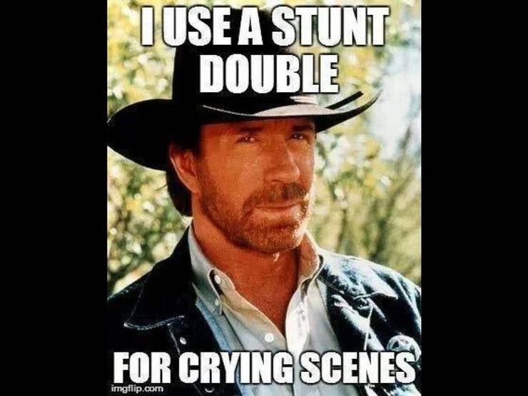 10 Chuck Norris Memes That Are Too Hilarious For Words To Describe. 15 Chuck Norris Stunt Double Meme