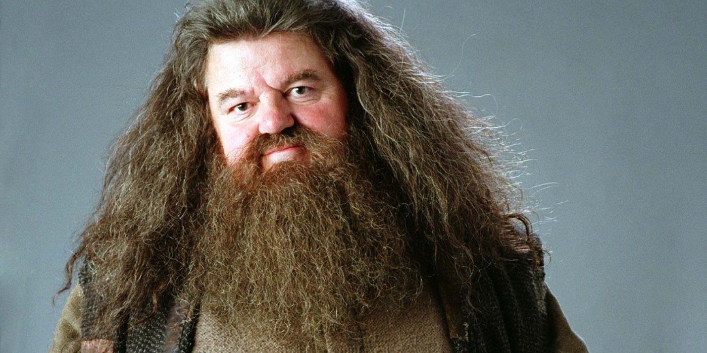 Harry Potter The Worst Thing About Each Hogwarts Professor Ranked