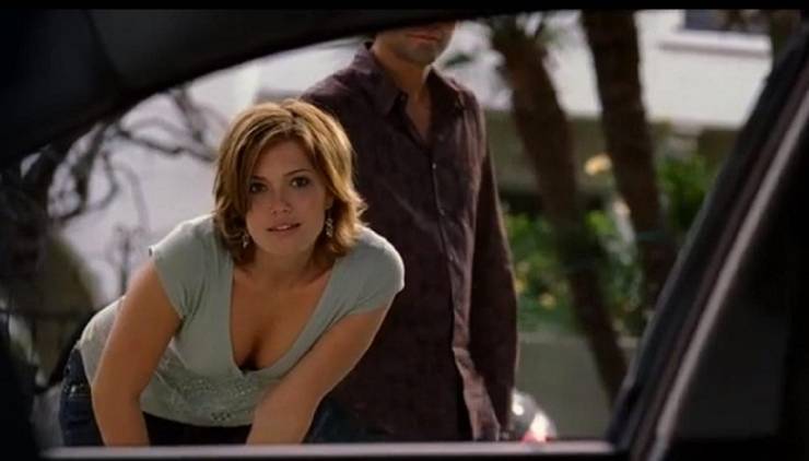 Entourage 10 Storylines That Were Never Resolved Screenrant