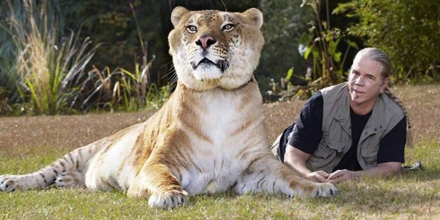 Netflixs Tiger King The 10 Most Shocking Revelations