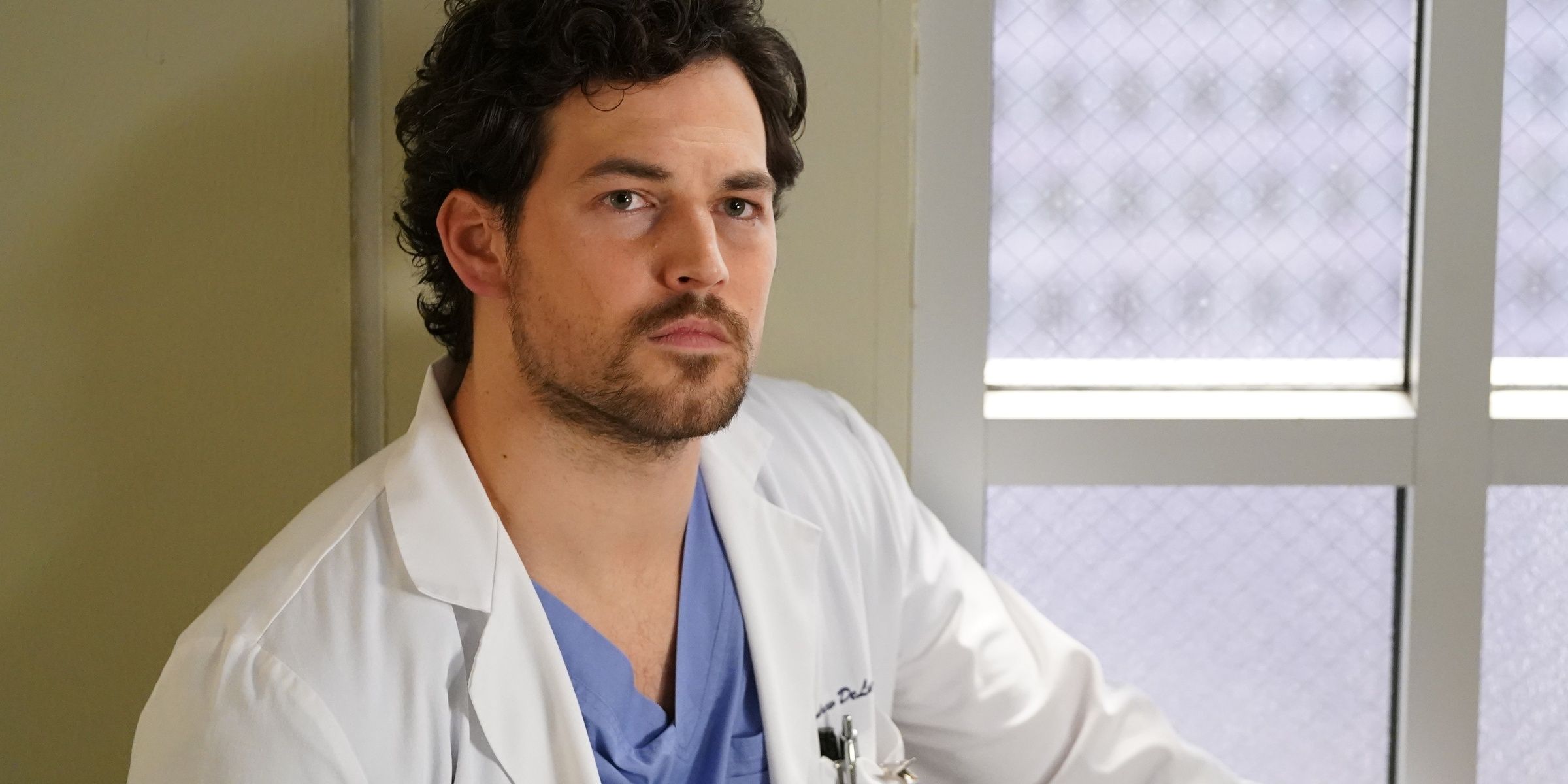 Greys Anatomy 5 Ways DeLuca Is Perfect For Meredith (& 5 Hayes Is)