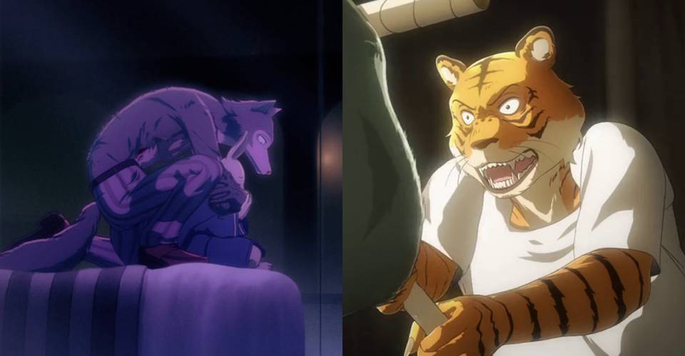 Beastars / Riz Tells Tem About His Problems Riz And Tem Part 2 Beastars ...