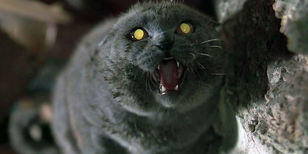 10 Most Memorable Animal Companions In Horror Movies
