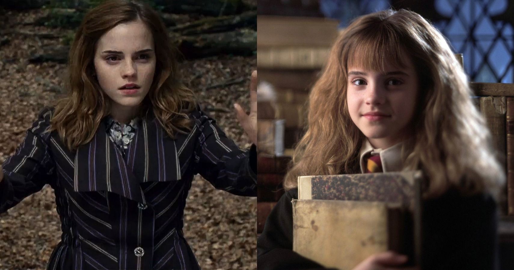 Harry Potter 10 Things We Never Understood About Hermione Granger