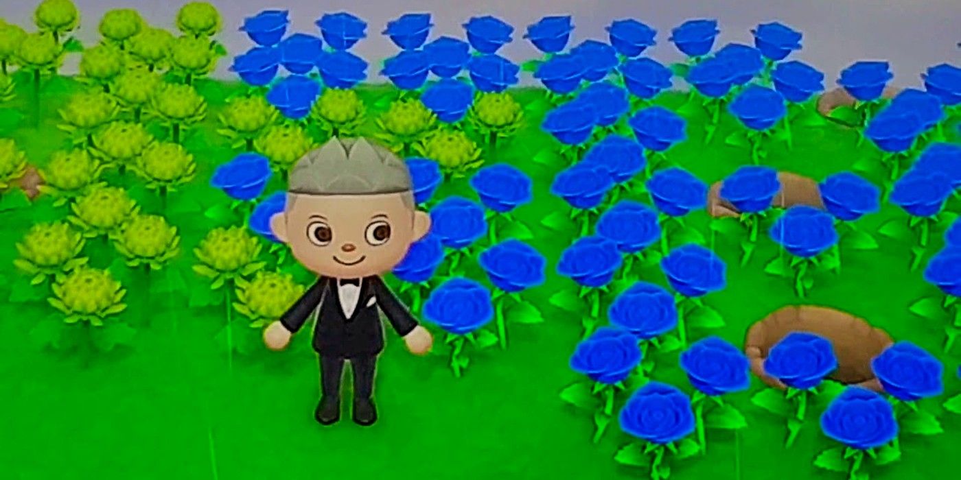 Animal Crossing New Horizons How To Grow Blue Roses,How Much Money In Monopoly