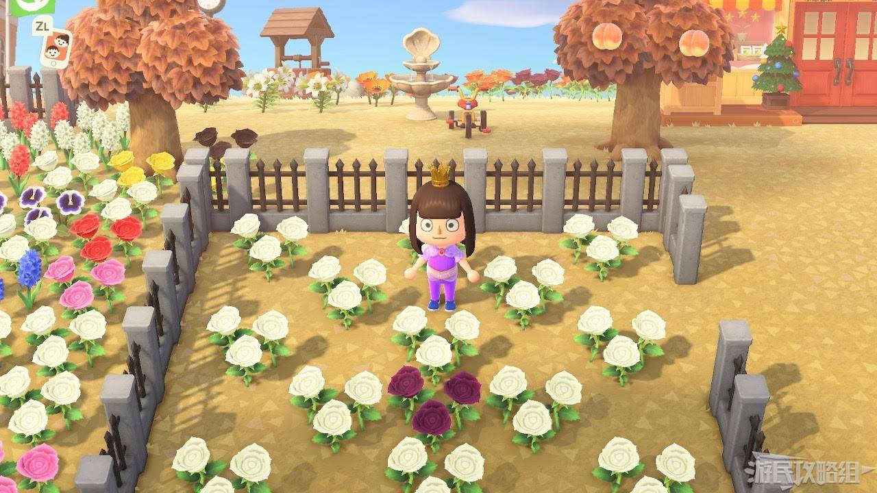 En spiller står i en hage Med Hvite Roser der en hybrid Lilla Rose har gytt I Animal Crossing: New Horizons