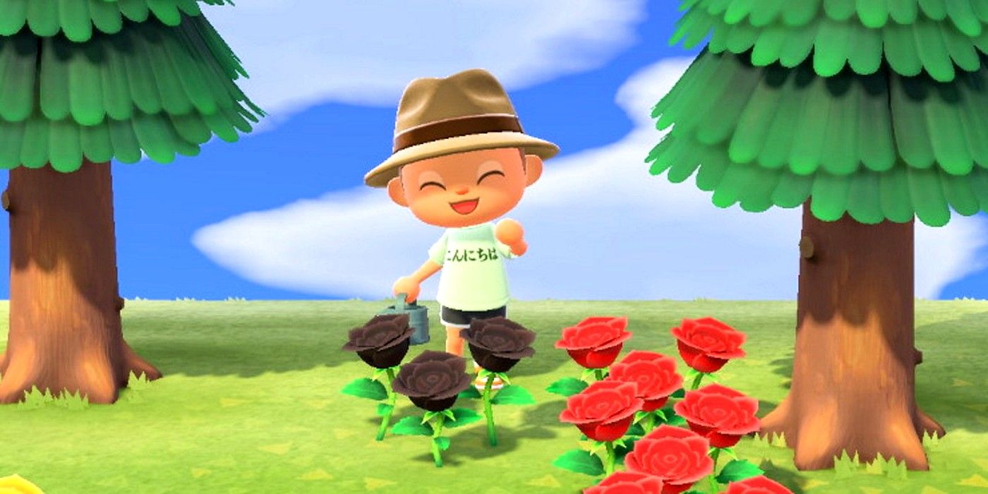 Animal Crossing: New Horizons - How to Grow Black Roses