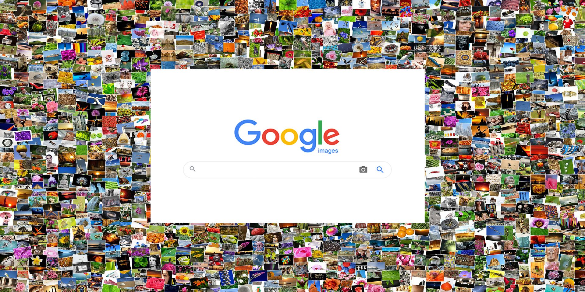 image search