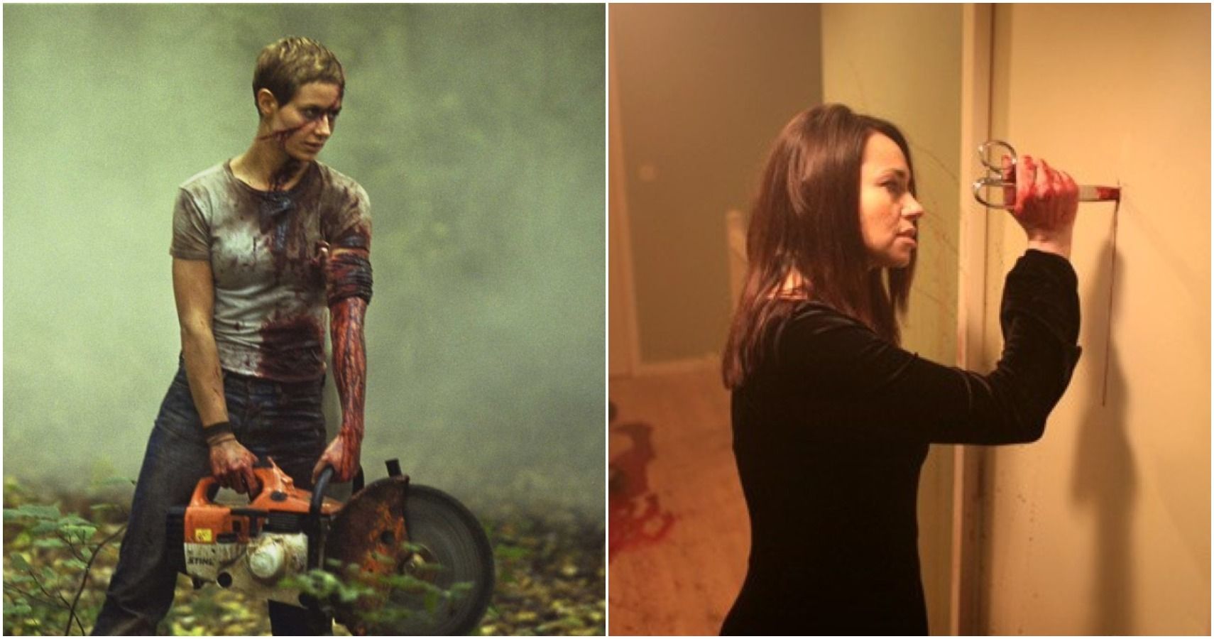10 Best New French Extremity Films For The Curious (Ranked by IMDb)