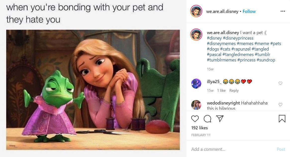 Disneys Tangled 10 Memes That Will Leave Any Disney Fan CryLaughing
