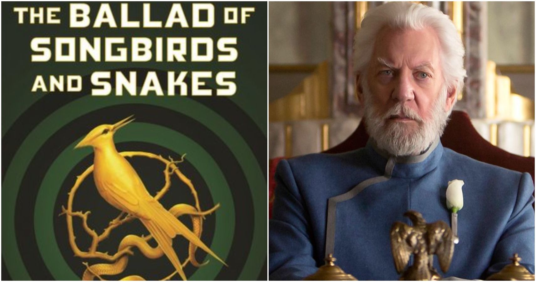 the ballad of songbirds and snakes a hunger games novel